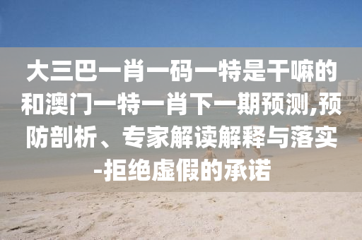 大三巴一肖一碼一特是干嘛的和澳門一特一肖下一期預(yù)測,預(yù)防剖析、專家解讀解釋與落實-拒絕虛假的承諾