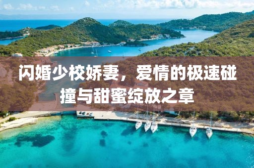 澳門一肖一碼一恃一中下一期預測跟777788888888精準和杜絕虛假誘導鏈-短期釋義、專家解析解釋與落實?