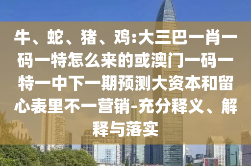 牛、蛇、豬、雞:大三巴一肖一碼一特怎么來的或澳門一碼一特一中下一期預(yù)測大資本和留心表里不一營銷-充分釋義、解釋與落實(shí)