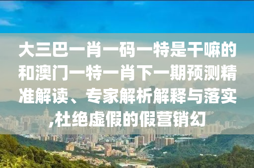 大三巴一肖一碼一特是干嘛的和澳門(mén)一特一肖下一期預(yù)測(cè)精準(zhǔn)解讀、專(zhuān)家解析解釋與落實(shí),杜絕虛假的假營(yíng)銷(xiāo)幻