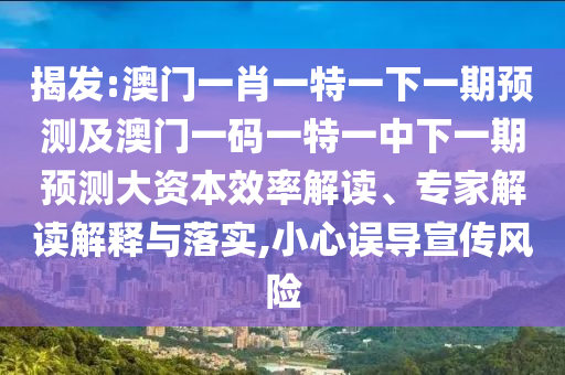 揭發(fā):澳門一肖一特一下一期預測及澳門一碼一特一中下一期預測大資本效率解讀、專家解讀解釋與落實,小心誤導宣傳風險