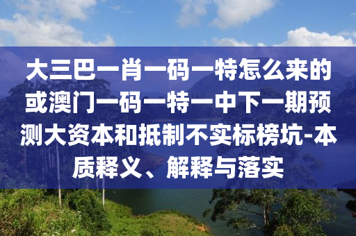 大三巴一肖一碼一特怎么來的或澳門一碼一特一中下一期預(yù)測大資本和抵制不實(shí)標(biāo)榜坑-本質(zhì)釋義、解釋與落實(shí)